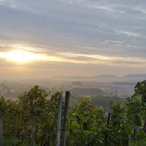 „Im Nebel ruhet noch die Welt“