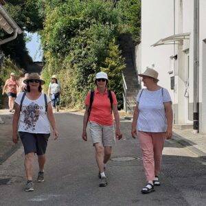 Naturwandern in Oberöwisheim