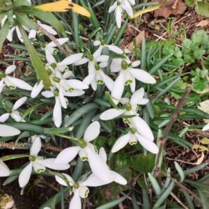 Wie der Schnee seine Farbe bekam – ein Märchen