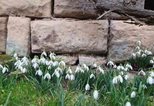 IMG-20250401-WA0032 – Kopiert