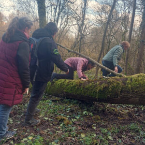 Wanderung mit Hindernissen